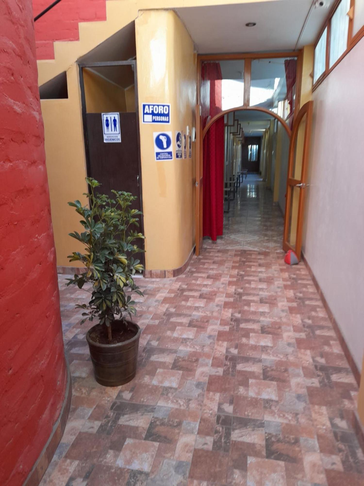 Nasca Trails B&B นัซกา ภายนอก รูปภาพ