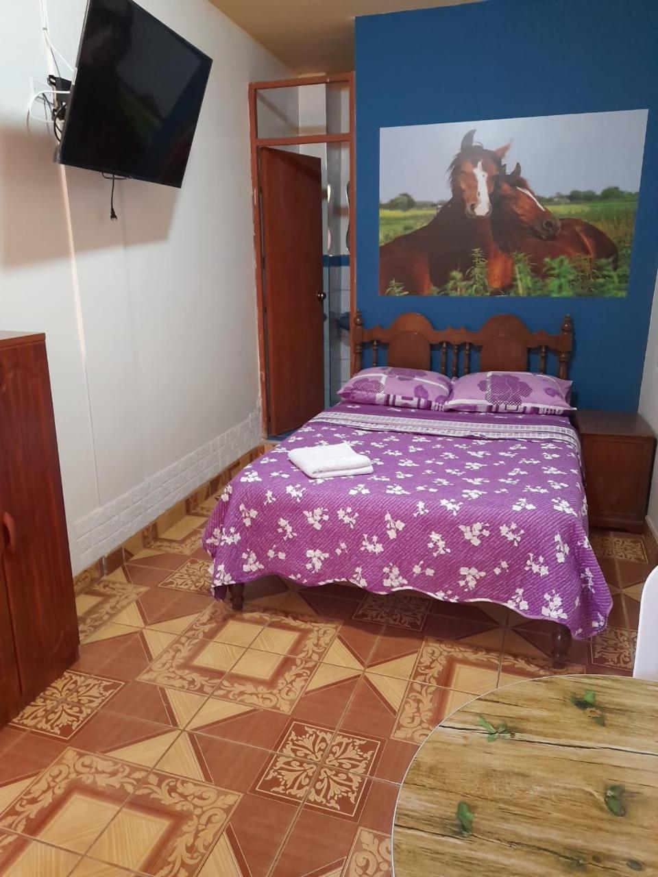Nasca Trails B&B นัซกา ภายนอก รูปภาพ