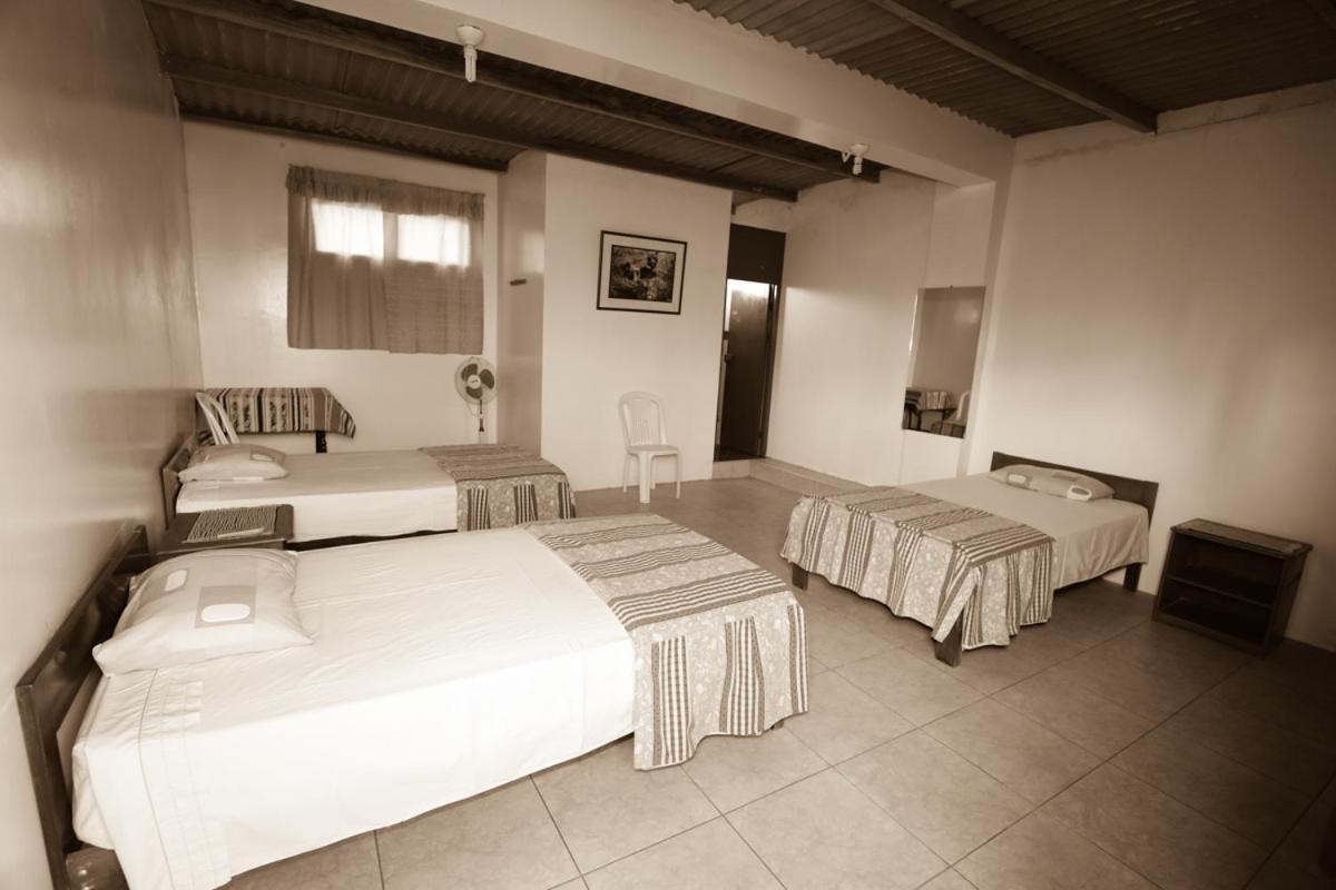 Nasca Trails B&B นัซกา ภายนอก รูปภาพ